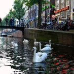 3 hour Amsterdam Private Guide Walking Tour with an Amsterdam born raised Guide - Who Should Consider This Tour?