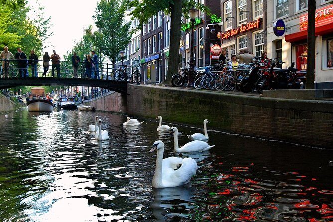 3 hour Amsterdam Private Guide Walking Tour with an Amsterdam born raised Guide - Who Should Consider This Tour?