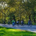3 Hour Best of Manhattan Walking Tour and Cycle Central Park - Who Will Love This Tour?