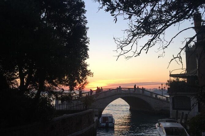 3-hour Best of Venice Highlights Private Walking Tour - Who Will Love This Tour?