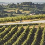 3-Hour Bike Tour and Wine in Tuscany: Nobile's Path - The Experience in Detail