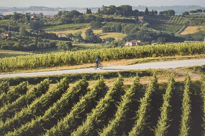 3-Hour Bike Tour and Wine in Tuscany: Nobile's Path - The Experience in Detail