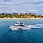 3-Hour Dolphin and Seal Sightseeing Cruise, operated with swim tour passengers - A Few Considerations