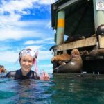 3 hour Dolphin and Seal Swim (NOV-APR) - Who Will Enjoy This Tour?