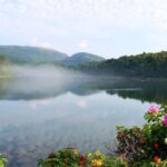 3 Hour Fiord, Mansions, Rocky Coastline - The Sum Up