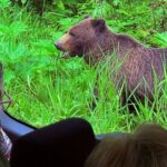 3 Hour Guided Driving Tour in Hoonah Alaska - The Itinerary in Detail