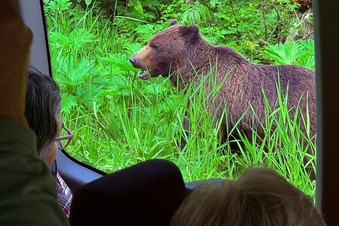 3 Hour Guided Driving Tour in Hoonah Alaska - The Itinerary in Detail