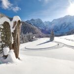 3-Hour Guided Snowshoeing Adventure in the Slovenian Alps - A Deep Dive Into the Snowshoeing Experience
