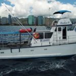 3-Hour Honolulu Bottom Fishing Adventure - Why This Tour Offers Good Value