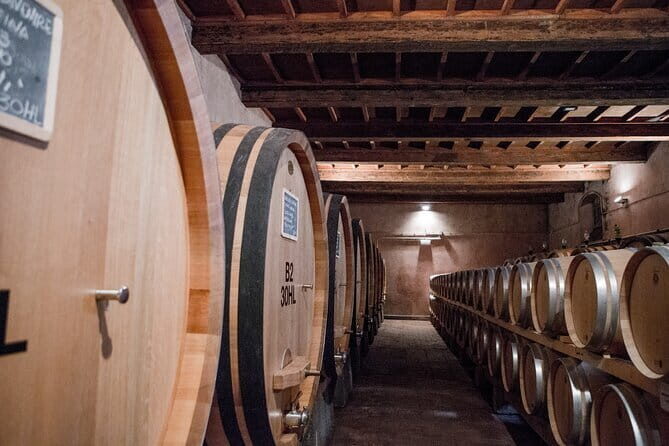 3 Hour Horse Ride to a Castle for Wine Tasting and snack Lunch - FAQs