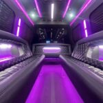 3 Hour Party Bus Transportation Package - What You Can Expect During the Ride