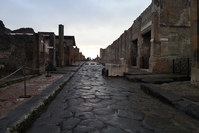 3-Hour Private Guided Walking Tour of Pompeii - Who Should Consider This Tour?