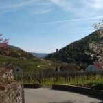 3-Hour Private Hiking Tour to historic places around Spitz in Wachau Valley - FAQs