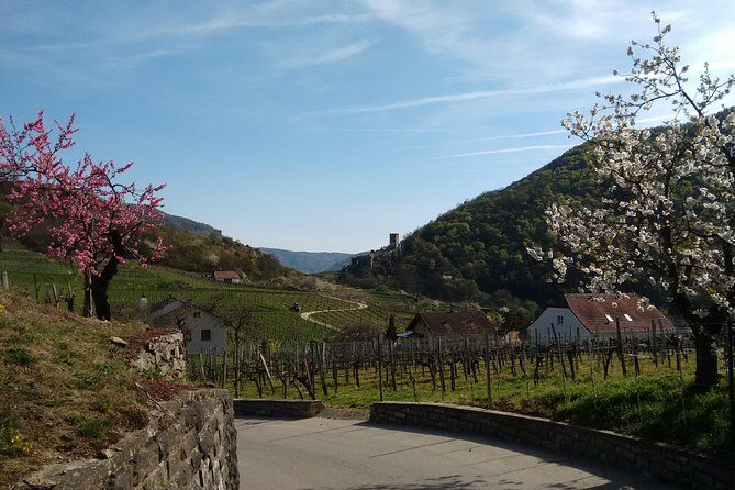 3-Hour Private Hiking Tour to historic places around Spitz in Wachau Valley - FAQs