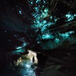 3-Hour Private Photography Tour in Waitomo Caves - Exploring the Waitomo Caves: An In-Depth Look