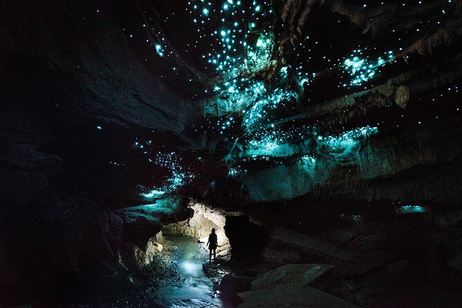 3-Hour Private Photography Tour in Waitomo Caves - Exploring the Waitomo Caves: An In-Depth Look