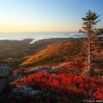 3 Hour Private Tour: Explore all the top spots of Acadia! - Final Thoughts