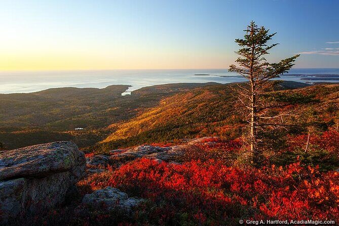 3 Hour Private Tour: Explore all the top spots of Acadia! - Final Thoughts