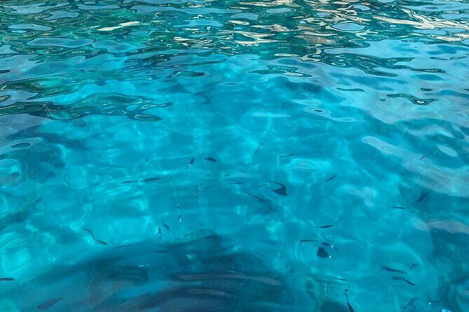 3 Hour shared Cinque Terre tour + Swim Stops at Secluded Beaches! - Summary of Advantages and Considerations