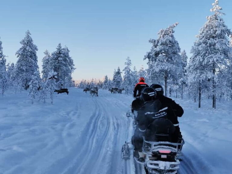 3-hour snowmobiling adventure in Levi - Why This Tour Is a Good Value