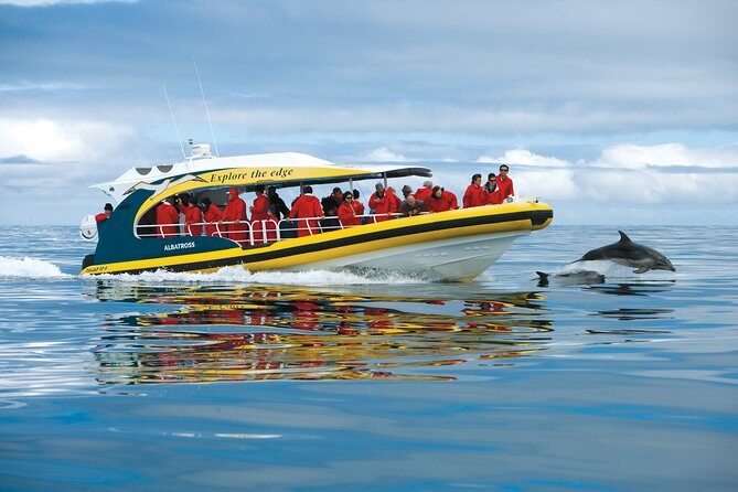 3-Hour Tasman Peninsula Wilderness Cruise from Port Arthur - Why This Tour Works for Different Travelers
