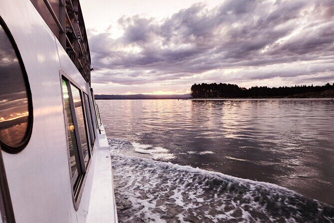 3 Hour Tauranga Scenic Cruise - Final Thoughts: Who Will Love This Tour?