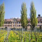 3 Hour Unique Wine Tour - Half Day in Swiss Alps - Whats Included and Whats Not