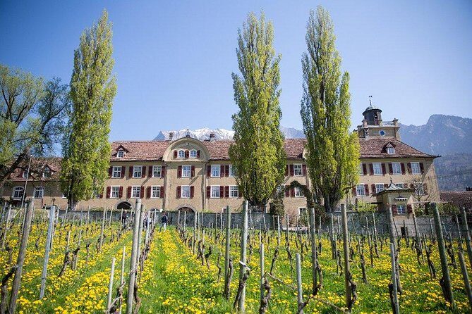 3 Hour Unique Wine Tour - Half Day in Swiss Alps - Whats Included and Whats Not