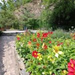 3 Hour Walking Tour in Tbilisi - What Makes This Tour Stand Out?