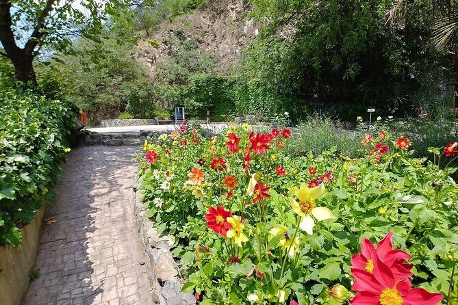 3 Hour Walking Tour in Tbilisi - What Makes This Tour Stand Out?