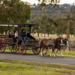 3- Hour Wine and Harvest the Hunter Horse Tour in Pokolbin - Who Should Consider This Tour?