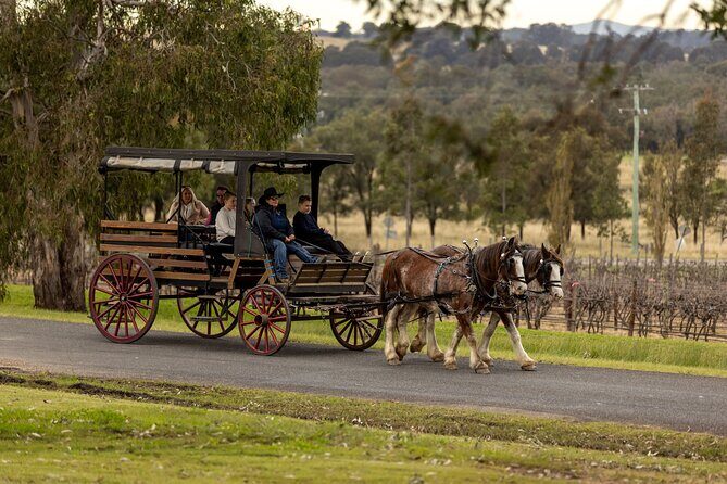 3- Hour Wine and Harvest the Hunter Horse Tour in Pokolbin - Who Should Consider This Tour?