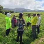 3 Hours Guided Forest Bathing Hike in Portugal - Authentic Experiences and Honest Value
