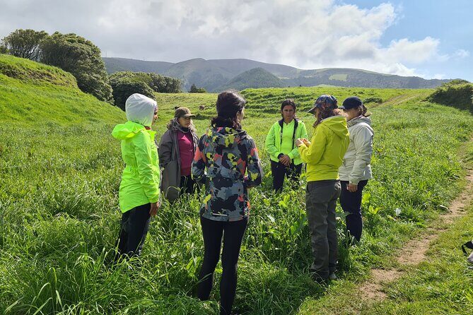 3 Hours Guided Forest Bathing Hike in Portugal - Authentic Experiences and Honest Value