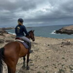 3 hours Horse Riding Tour to the Coast - The Sum Up: Is This the Right Ride for You?