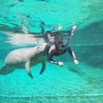 3 hours Manatee Swim Tour in Florida - FAQs
