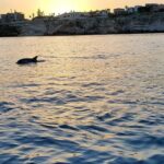 3 Hours Private Boat Tour of the Island of Ortigia with Aperitif - The Sum Up: Why Choose This Tour?
