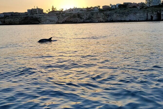 3 Hours Private Boat Tour of the Island of Ortigia with Aperitif - The Sum Up: Why Choose This Tour?