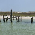 3 Hours Shell Island Experience - The Sum Up