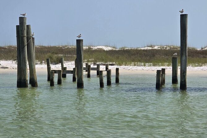 3 Hours Shell Island Experience - The Sum Up