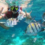 3 Hours VIP Semiprivate Tour Isla Mujeres Full Snorkeling Experience - A Detailed Exploration of the Snorkeling Tour in Isla Mujeres