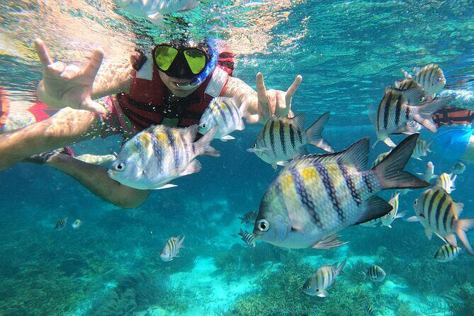 3 Hours VIP Semiprivate Tour Isla Mujeres Full Snorkeling Experience - A Detailed Exploration of the Snorkeling Tour in Isla Mujeres