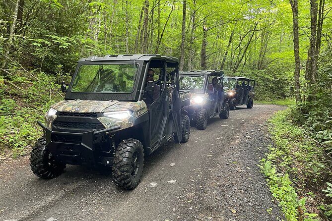 (3 HR) Guided Scenic UTV Adventure - How Does It Value Compare?