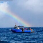 3-Tank Dive Featuring the Molokini Crater - An In-Depth Review of the 3-Tank Dive Tour