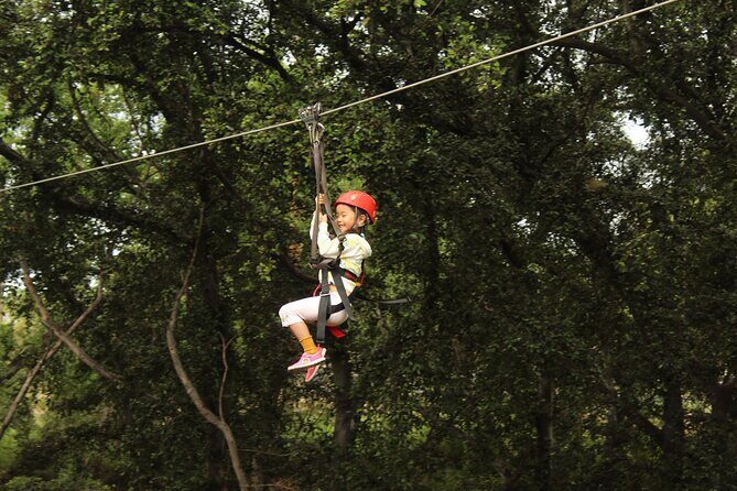 3 Zipline Adventure with Waikiki Transportation - What You’ll Love About This Tour