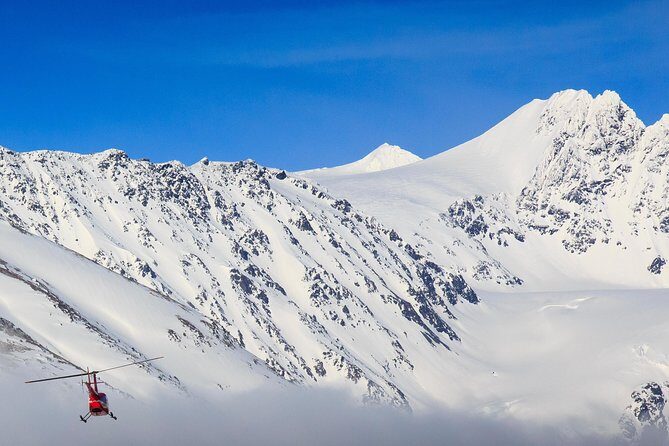 30 Minute Flightseeing Tour from Girdwood - Who Should Consider This Tour?