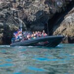 30-Minute Raptor RIB Ride Activity in Torquay - Why This Tour is Worth the Price