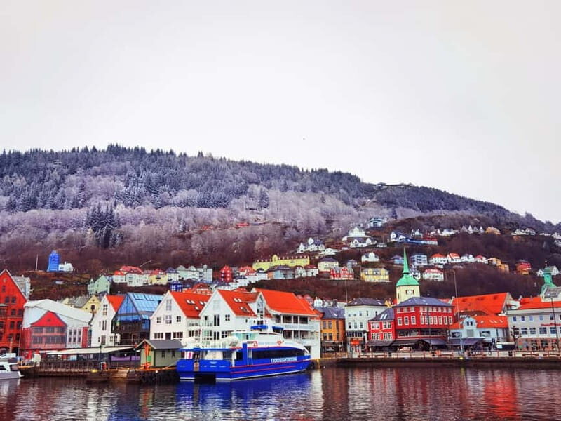 3days Bergen-Hardanger-Flåm-næroyfjord-Oslo(or Preikstolen) - Exploring Norway’s Fjords and Mountains: An In-Depth Review