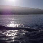 4 .5 Hour Molokini Snorkel Tour Adventure in Maui - FAQs