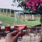 4.5-Hour Scenic Wine Tour with Private Guide & Up to 12 Tastings - Why This Tour Is Worth Considering
